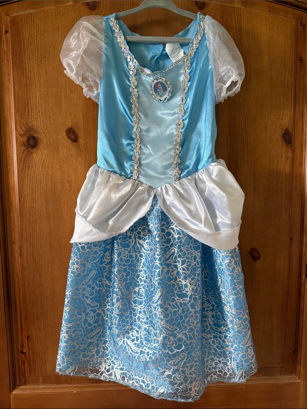 Cinderella Princess Girls' Costume Dress